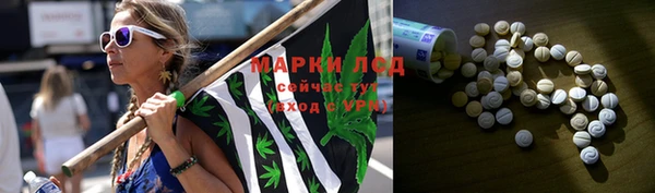 ПСИЛОЦИБИНОВЫЕ ГРИБЫ Богданович