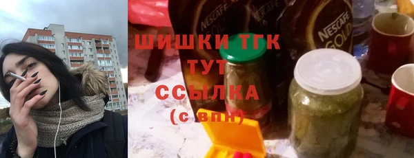 гашик Богородск