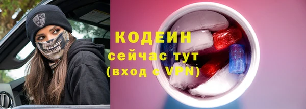 ПСИЛОЦИБИНОВЫЕ ГРИБЫ Богданович