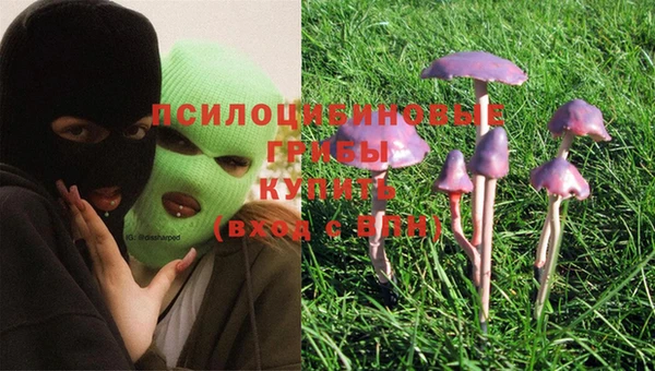 бошки Богородицк
