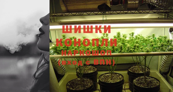 стаф Пестово