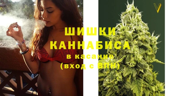 ГАЛЛЮЦИНОГЕННЫЕ ГРИБЫ Пересвет
