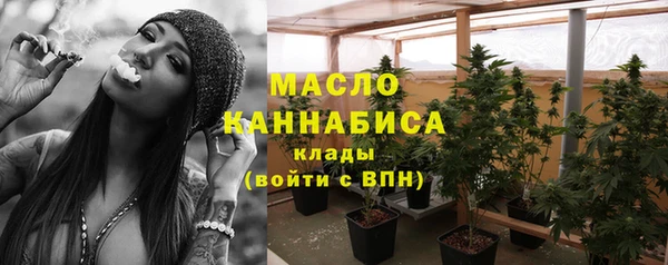 ПСИЛОЦИБИНОВЫЕ ГРИБЫ Богданович