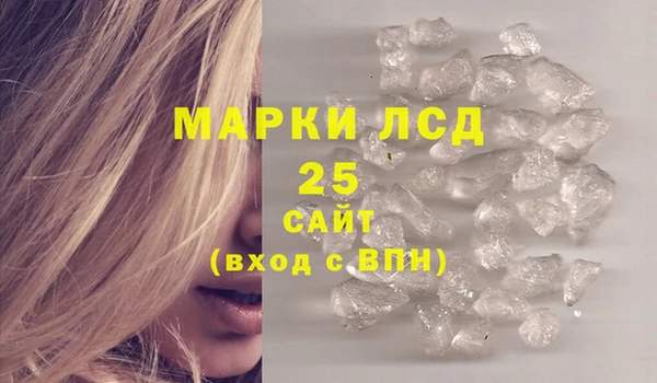 ПСИЛОЦИБИНОВЫЕ ГРИБЫ Богданович