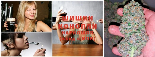 бошки Богородицк