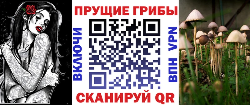 Псилоцибиновые грибы прущие грибы Валдай